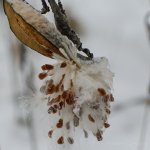 DBC_3687.jpg