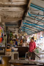 market-sod-3.jpg