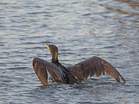 DSC_1279.jpg