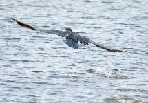 DSC_1287.jpg