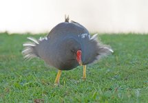 DSC_1289.jpg