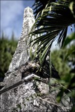 Peak n The Palm.jpg