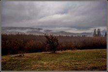 DSC_0709.jpg