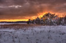 D610#2 Blackpoint-Snow HD6a.jpg