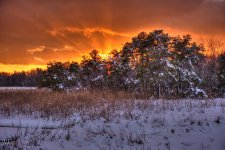 D610#2 Blackpoint-Snow HD9a.jpg