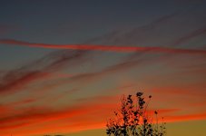 8 9 & 10th Dec 2014 007.JPG