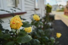 DSC_6673.jpg
