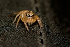 DSC_7239.jpg