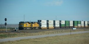 DSC_7637.JPG