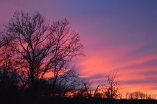 DSC_1463.jpg