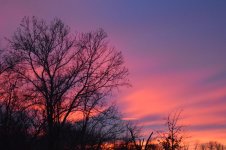 DSC_1463.jpg