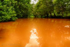 NEW_4539_HDR_webshot.jpg
