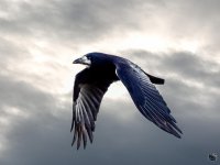 023-3-Edit-Edit.jpg