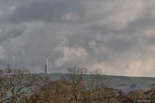 The tower on the hill.jpg