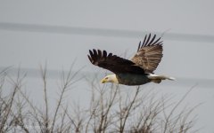 DHP_3959.jpg