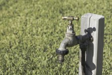 Water Tap Grass.jpg