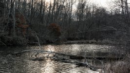 _DSC3503-Edit-2.jpg