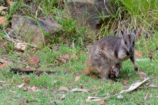 DSC_7284.jpg