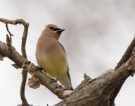 CEWA 2014-12-12 1000_edited-1.jpg