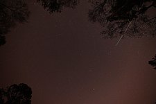 D62_5605a.jpg