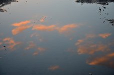 13th Dec 2014 017.JPG