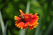 DSC_9264.jpg