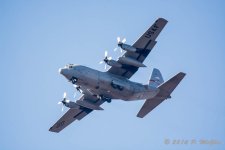 D71_2116.jpg