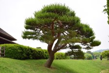kenrokuen.jpg