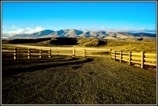 DSC_0813.jpg