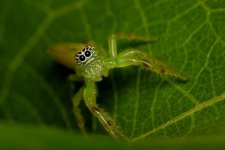 DSC_7353.jpg