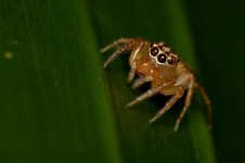 DSC_7361.jpg
