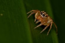 DSC_7362.jpg