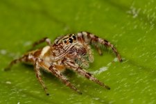 DSC_7338.jpg