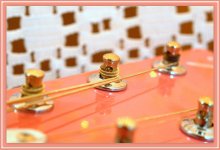My Guitar Tuning Pegs.jpg