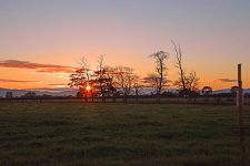 DSC_6458.jpg