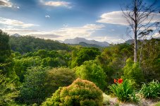 NEW_4725_HDR_webshot.jpg