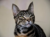 DSC_4732.jpg