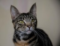 DSC_4734.jpg