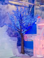 ice-tree-3.jpg