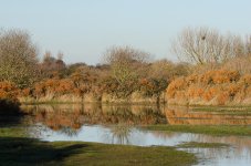 DSC_6056m.jpg