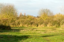 DSC_1384.jpg