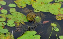 DSC_0114.jpg