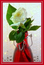 Red Vase White Flower.jpg
