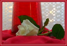 Red and White.jpg