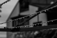 DSC_6726.jpg
