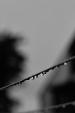 DSC_6725.jpg