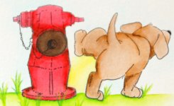 pam-mrpeedles-detail.JPG