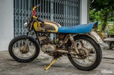 suzuki-1.jpg