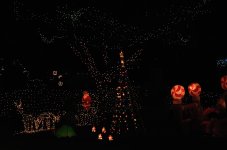 14 15 16 17th Dec 2014 009.JPG