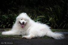Lying on path.jpg